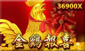 亚博体育金鸡报喜的独特亮点