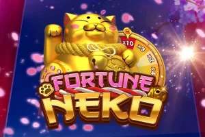 社区反馈与玩家经验